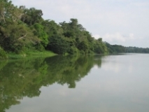 Imagen Laguna de Limoncocha 